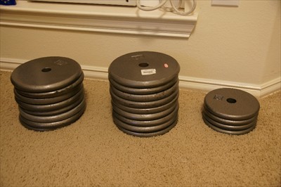 Standard 10 lbs and 5 lbs plates for home gym