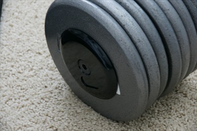Fixed Dumbell Handles with smooth rounded endcaps Holds up to 150 lbs