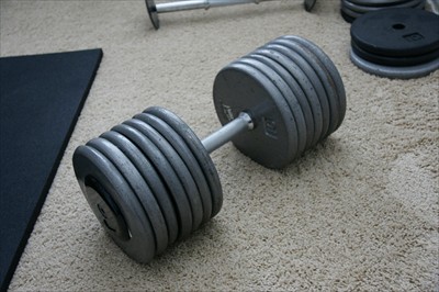 Fixed Dumbell Handles with smooth rounded endcaps Holds up to 150 lbs